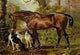 Favorite Hunter of the Late Hugo Meynell Ingram Poster Print by Samuel Sidney