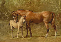 Thoroughbred mare and foal poster print by Samuel Sidney
