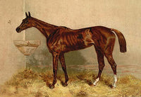 Veterinary Medicine Historical Poster Print by Samuel Sidney