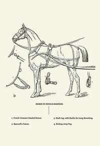 Single Harness Horse Poster Print by Samuel Sidney on premium paper