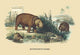 Hippos by a Stone Arch Vintage Art Print by E. F. Noel