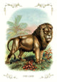 Lion in the Jungle Vintage Art Print - High Quality Reproduction
