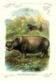 Two hippos in the forest by water poster print