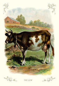Cow on a Farm Vintage Art Reproduction Poster Print