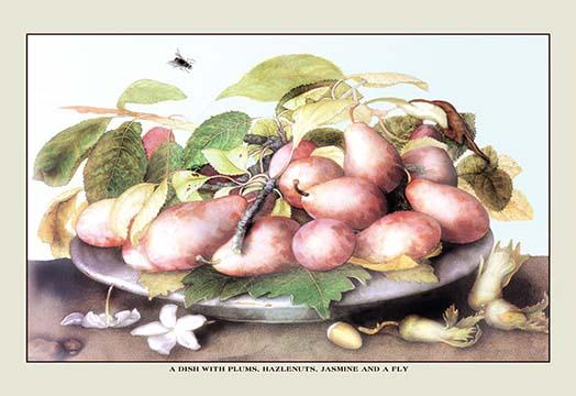Giovanna Garzoni Still Life Poster Print featuring fruits and flowers.