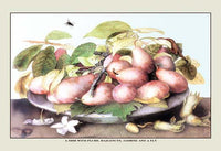 Giovanna Garzoni Still Life Poster Print featuring fruits and flowers.