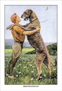 A Boy and Dog Dance poster print by Louis Agassiz Fuertes, vintage art reproduction.