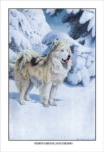 Vintage art poster print of 'A Dog for the Eskimo' by Louis Agassiz Fuertes.