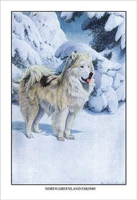 Vintage art poster print of 'A Dog for the Eskimo' by Louis Agassiz Fuertes.