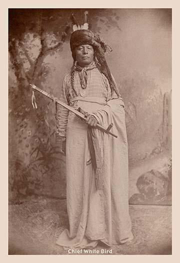 Chief Vintage Art Poster Print - High Quality Reproduction