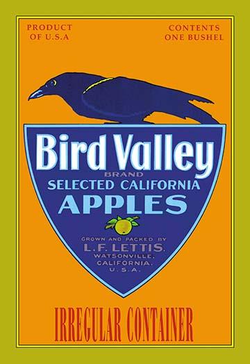 Vintage Vegetable and Fruit Crate Labels Poster Print