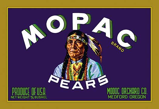 Vintage Native American Brave Pear Crate Label Poster Print