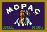 Vintage Native American Brave Pear Crate Label Poster Print