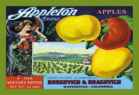 Apples Vintage Fruit Crate Label Poster Print showcasing vintage artwork.