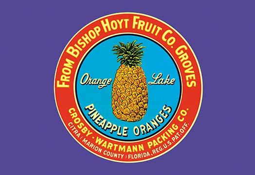 Bishop Hoyt Fruit Company Crate Label Poster Print featuring oranges and pineapples.