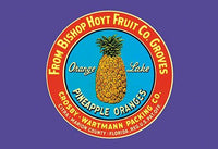 Bishop Hoyt Fruit Company Crate Label Poster Print featuring oranges and pineapples.