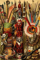 Native American Ornaments & Weapons Poster Print showcasing cultural artifacts.