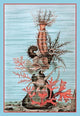Actiniaria and Echinoderms Poster Print by Heinrich V. Schubert featuring marine life.