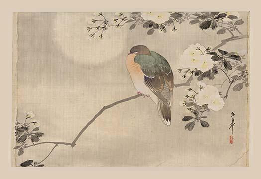 Cherry Blossom Festival Poster Print showcasing beautiful spring blossoms.
