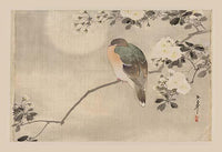Cherry Blossom Festival Poster Print showcasing beautiful spring blossoms.