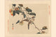 Small hawk landing on a peach tree branch - poster print.