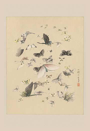 Butterflies in Flight vintage art poster print showcasing colorful butterflies in motion.