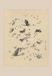 Butterflies in Flight vintage art poster print showcasing colorful butterflies in motion.