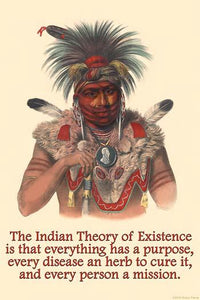 Everything Has a Purpose Poster Print by Proverb Native American