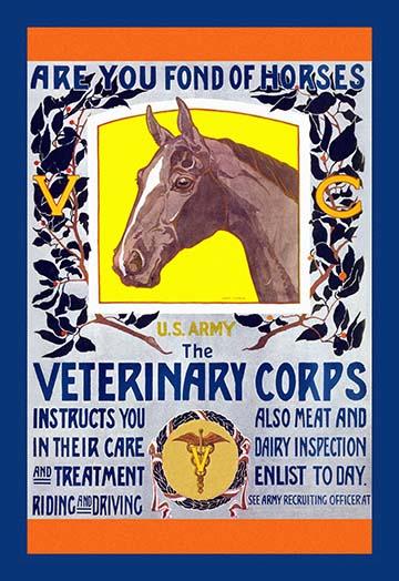 Join the Veterinary Corps Poster Print by Horst Schreck showcasing humor in veterinary care.