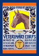 Join the Veterinary Corps Poster Print by Horst Schreck showcasing humor in veterinary care.