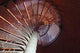 Cape May Point Lighthouse Stairs Poster Print by Jason Pierce