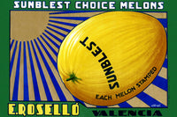 Sunblest Choice Melons Vintage Crate Label Poster Print