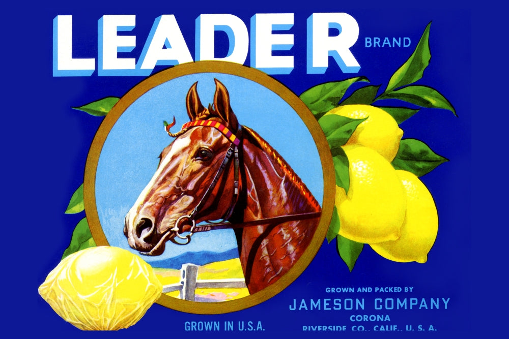 Leader Lemons Vintage Fruit Crate Label Poster Print