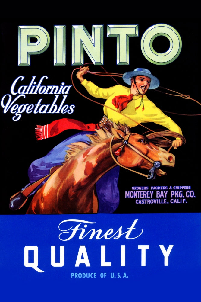 Vintage Pinto fruit crate label poster print showcasing nostalgic agricultural design.