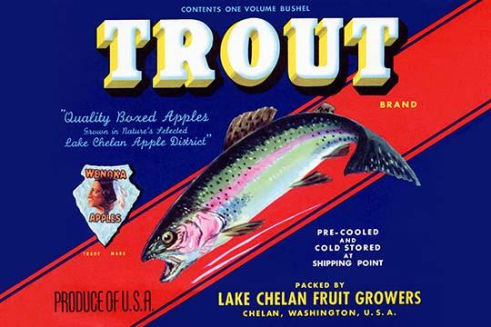 Rainbow trout poster print showcasing Washington Apples artwork