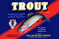 Rainbow trout poster print showcasing Washington Apples artwork