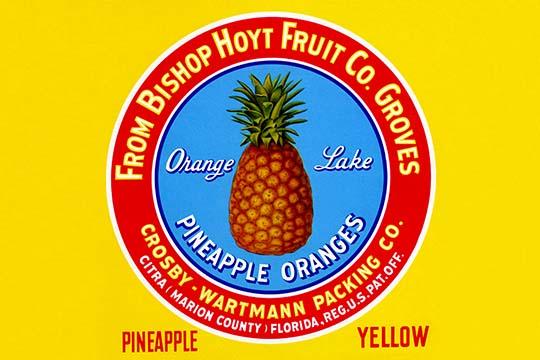 Vintage Yellow Pineapples Fruit Crate Label Art Print