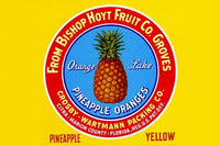 Vintage Yellow Pineapples Fruit Crate Label Art Print