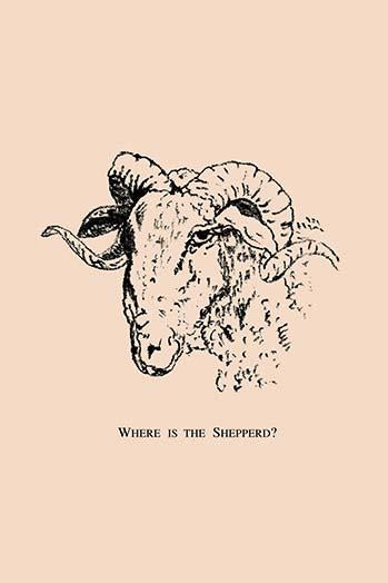 Hidden Shepherd Puzzle Poster Print - Vintage Advertising Art