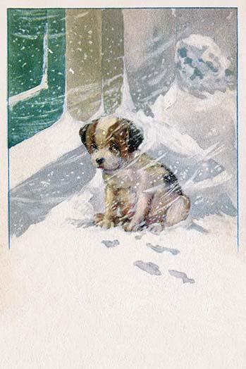 A puppy left outside in the snow poster print.