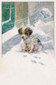 A puppy left outside in the snow poster print.