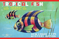 Colorful tropical fish swimming in clear blue water - vintage graphic art poster print