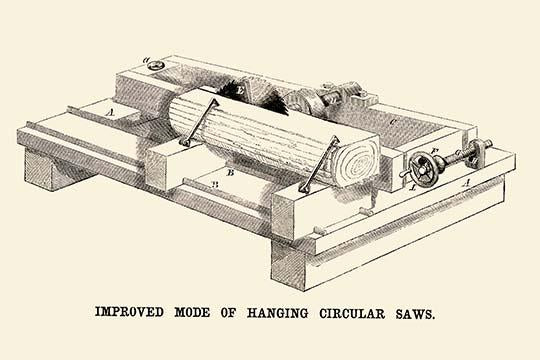 Essential Lumber Industry Poster Print highlighting the importance of cut timber.