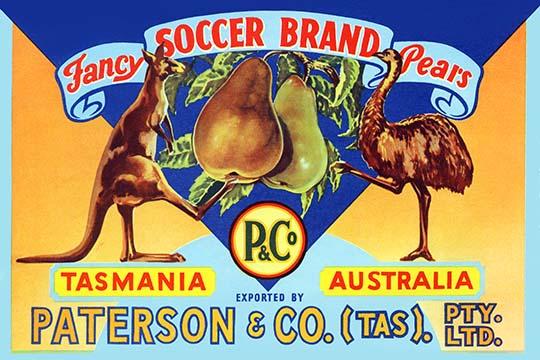 Kangaroo and Emu Poster Print representing Australia