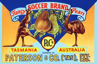 Kangaroo and Emu Poster Print representing Australia