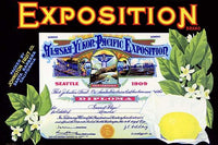 Alaska-Yukon-Pacific Exposition 1909 Certificate Poster Print