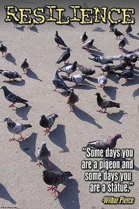Some Days You Are a Pigeon and Some Days You Are a Statue Poster Print by Wilbur Pierce