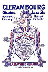 Dynamic Human Machine Diagram Poster Print by Jakil