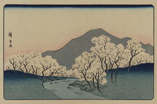 Blossoming Cherry Trees Art Print by Ando Hiroshige