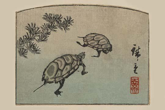 Two Turtles Art Print by Ando Hiroshige on premium paper